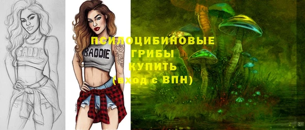 соль курить ск Алексеевка
