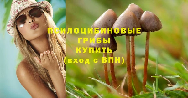 гидропоника Арсеньев