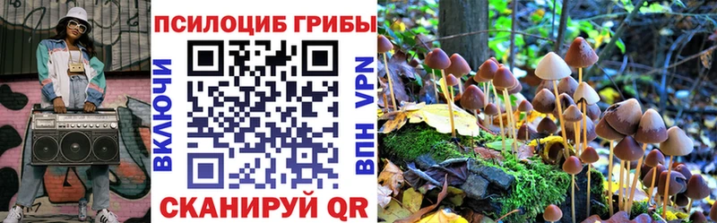Псилоцибиновые грибы мухоморы  купить наркотики сайты  Мостовской 